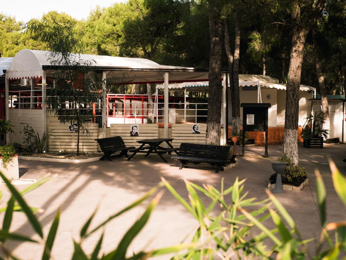 Policoro Village Hotel Dış mekan fotoğraf