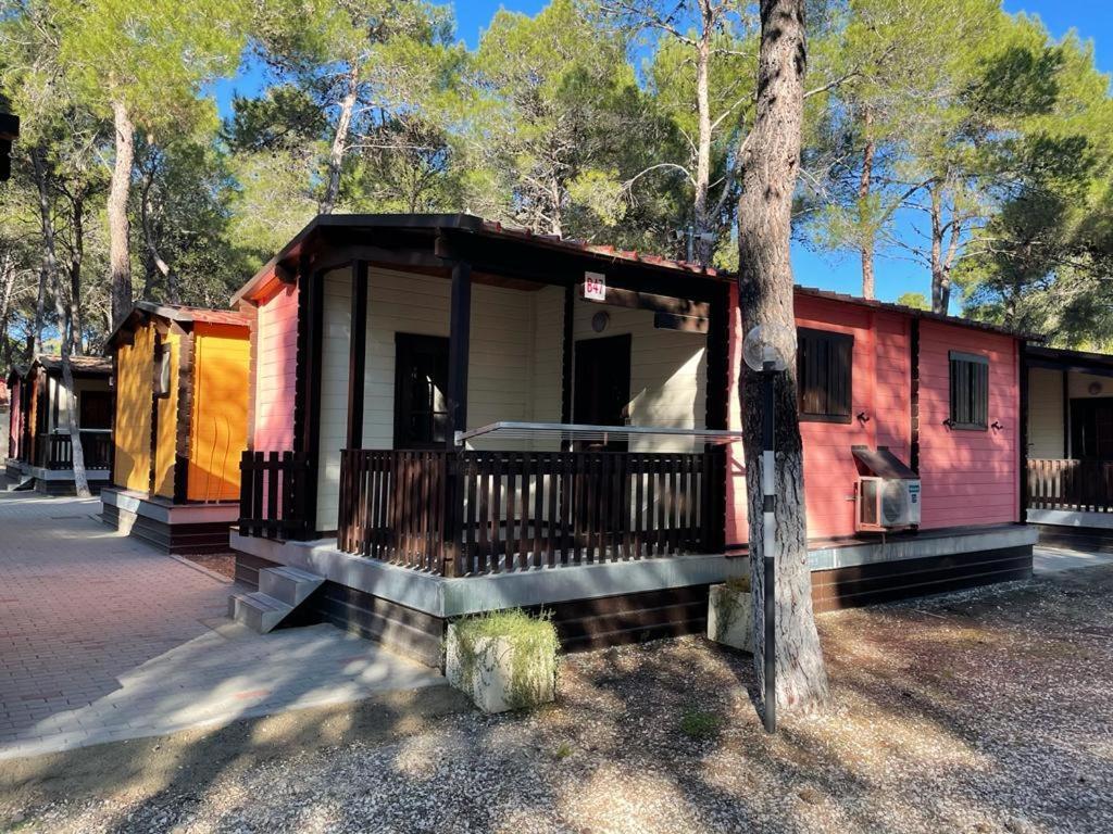 Policoro Village Hotel Dış mekan fotoğraf